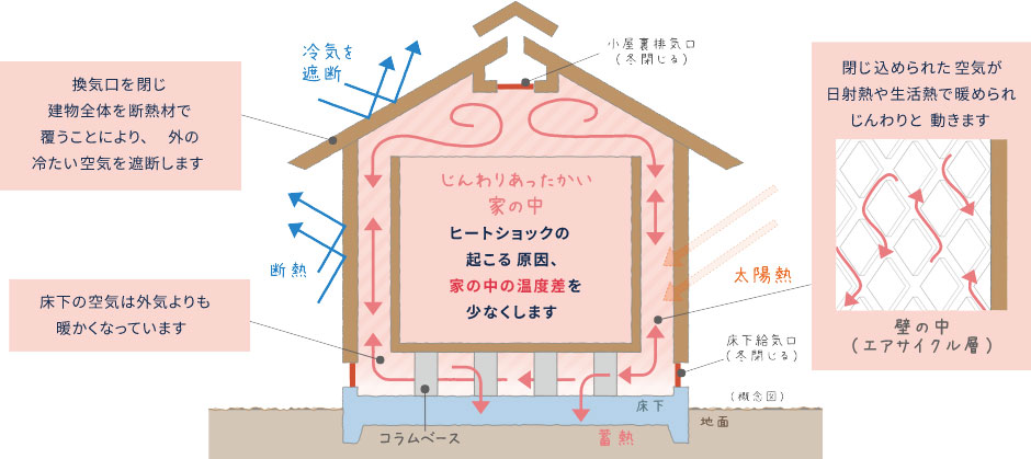 冬は冷気を遮り、ひだまりの暖かさを取り込む